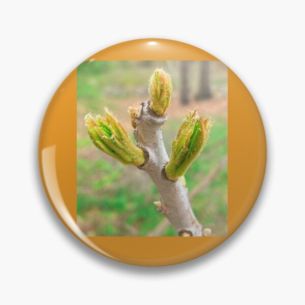Item preview, Smooth Sumac is not Poison designed and sold by Max Kindly.