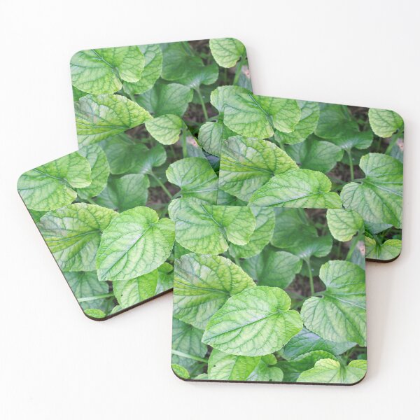 Item preview, Green leaves in spring  designed and sold by Light79.