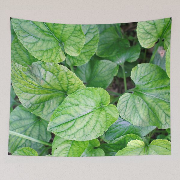 Item preview, Green leaves in spring  designed and sold by Light79.