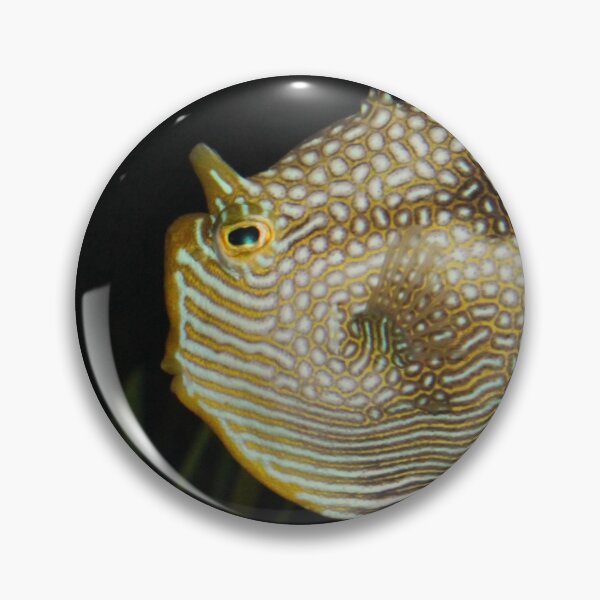 Item preview, Ornate Cowfish designed and sold by Snakemantysmith.