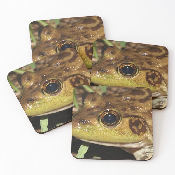 Item preview, American Bullfrog designed and sold by Snakemantysmith.