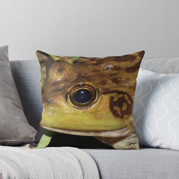 Item preview, American Bullfrog designed and sold by Snakemantysmith.