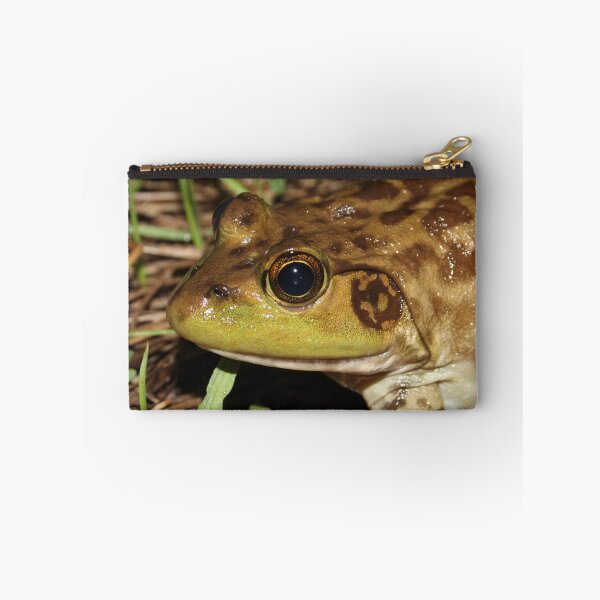 Item preview, American Bullfrog designed and sold by Snakemantysmith.