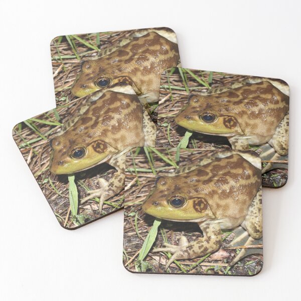 Item preview, American Bullfrog designed and sold by Snakemantysmith.
