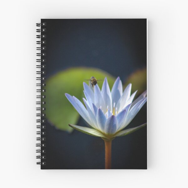 Artikelvorschau, Biene mit Lotusblume entworfen und verkauft von ShoobeeDesigns.