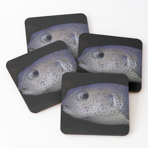 Item preview, Porcupine Puffer designed and sold by Snakemantysmith.