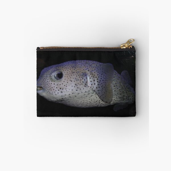 Item preview, Porcupine Puffer designed and sold by Snakemantysmith.