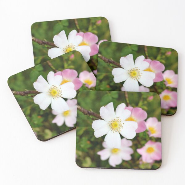 Item preview, Dog rose or Rosa canina flowers designed and sold by Light79.