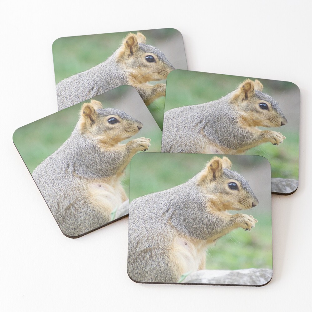 Item preview, Coasters (Set of 4) designed and sold by Risedelrey.