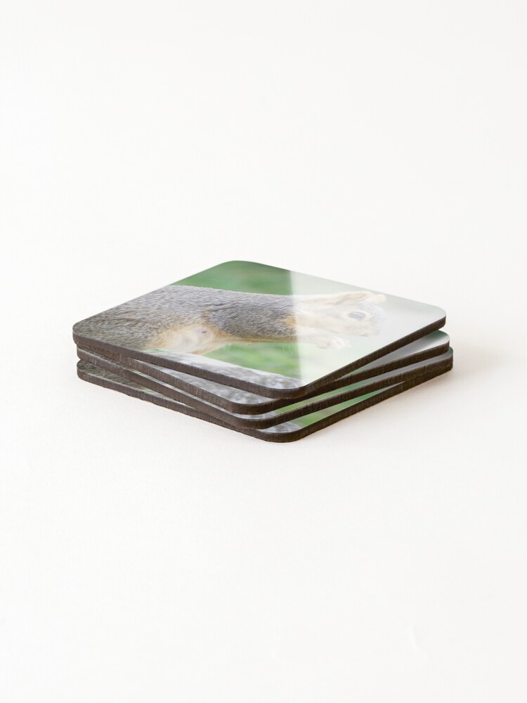 Thumbnail 4 of 5, Coasters (Set of 4), Taking It All In! designed and sold by Risedelrey.