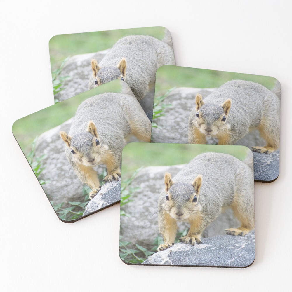 Item preview, Coasters (Set of 4) designed and sold by Risedelrey.