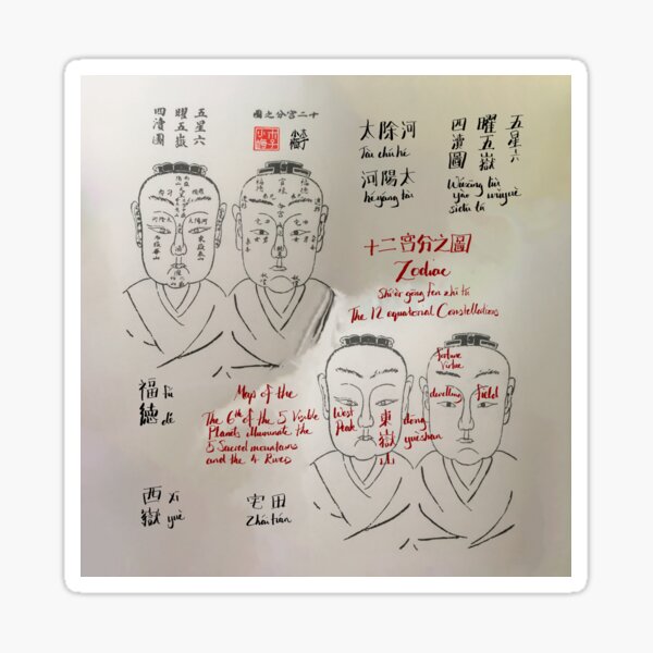 Chinese Physiognomy Face Reading Zodiac Map Autistic Art Sticker