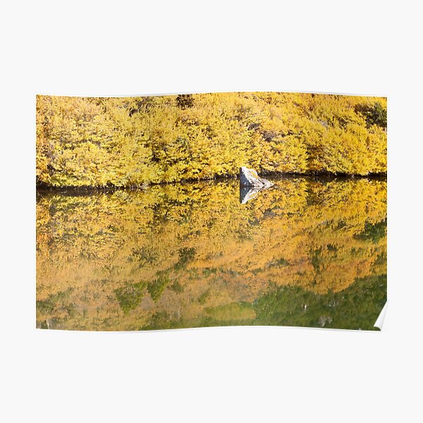Fagus at Tarn Shelf, Mt Field Poster