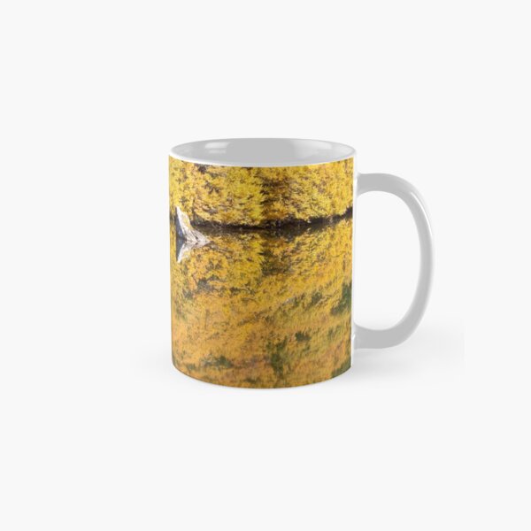 Fagus at Tarn Shelf, Mt Field Classic Mug