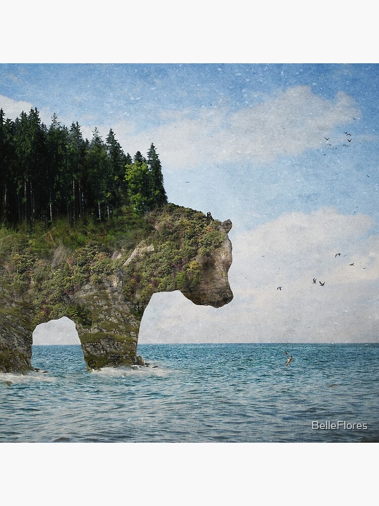 Ursidora: The Invisible Bear Island by BelleFlores