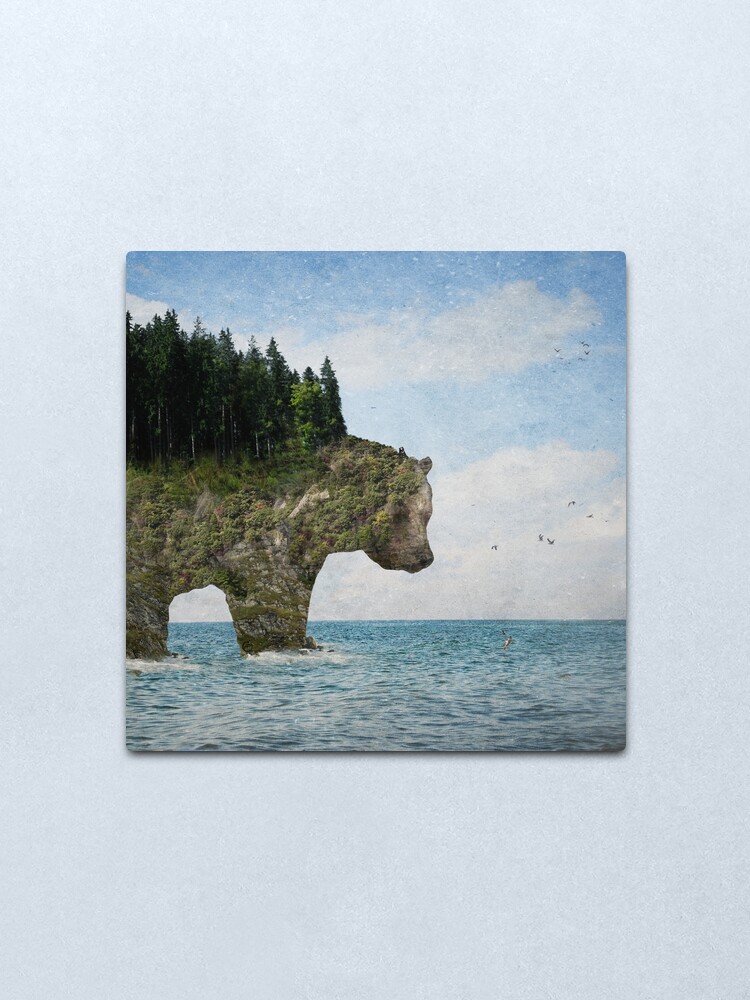 Alternate view of Ursidora: The Invisible Bear Island Metal Print