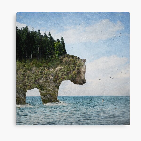 Ursidora: The Invisible Bear Island Metal Print