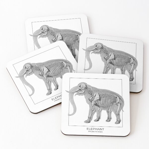Item preview, Elephant skeleton designed and sold by diologic.