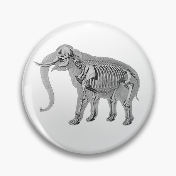 Item preview, Elephant skeleton designed and sold by diologic.