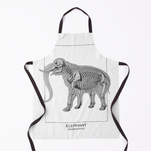 Item preview, Elephant skeleton designed and sold by diologic.