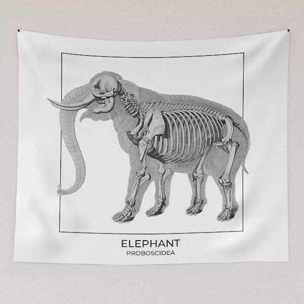 Item preview, Elephant skeleton designed and sold by diologic.