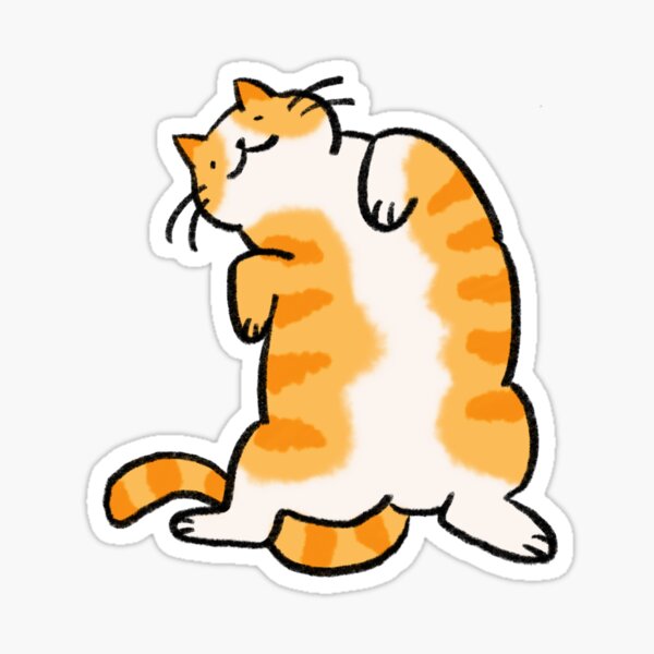 fat cat filter｜TikTok Search