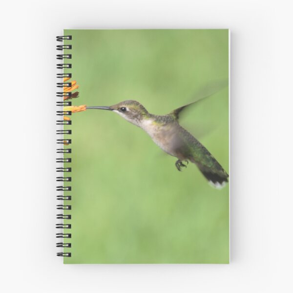 Item preview, Ruby Throat Hummingbird designed and sold by Bob Hardy.