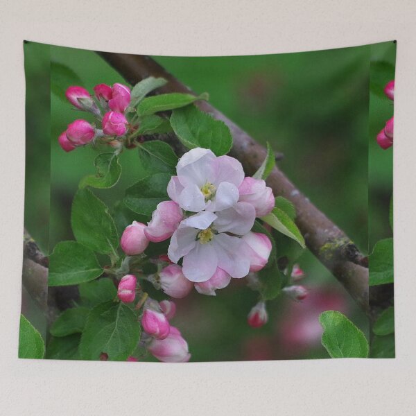 Item preview, Apple tree in May. II designed and sold by Bluesrose.