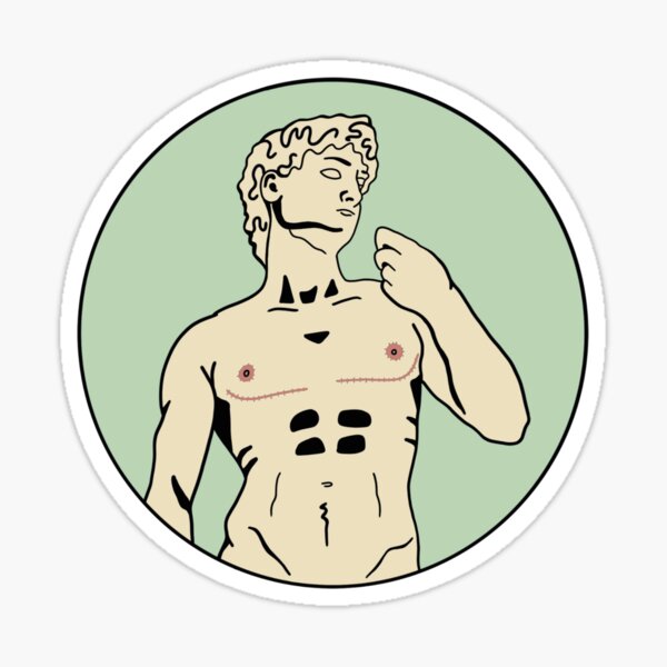 DAVID’S TOP SURGERY (IN MINT) Sticker