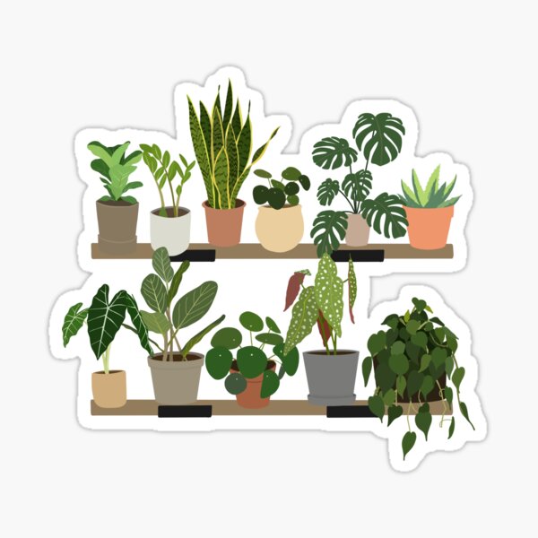 House Plants Sticker Sheet