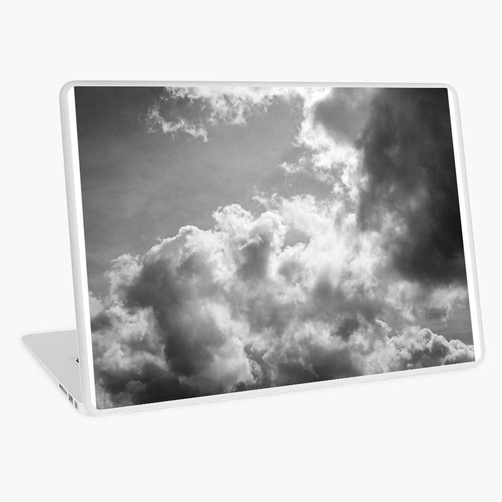 Item preview, Laptop Skin designed and sold by ShinyPhoto.
