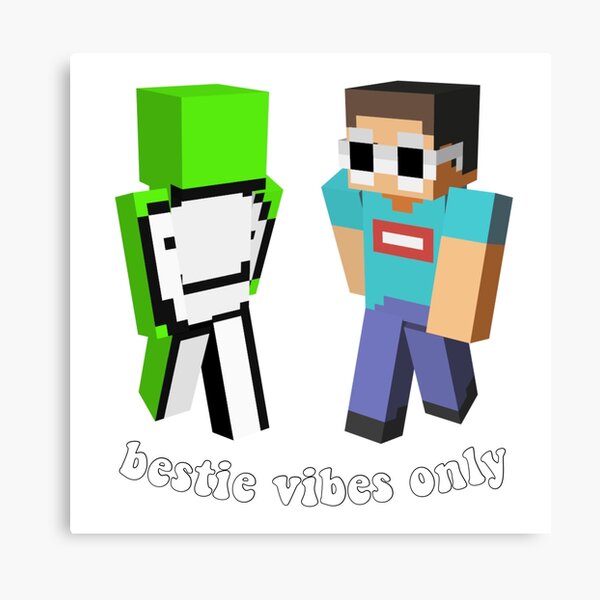 technoblade ✨  Minecraft skins aesthetic, Minecraft art, Pictures of minecraft  skins