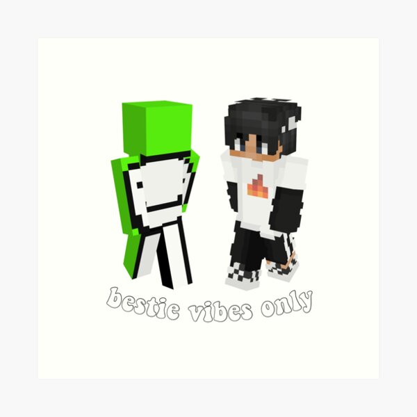 sapnap maid  Minecraft Skins