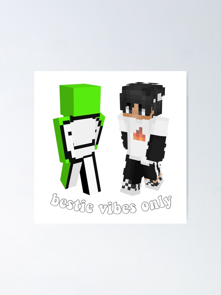 dream & sapnap  Minecraft skins aesthetic, Dream team, Dream team app