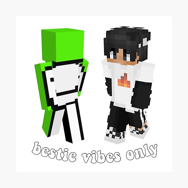 Gives you Sapnap vibes  Minecraft skins, Minecraft, Mc skins