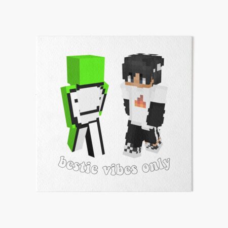 Sapnap Minecraft Skin Sticker Art Board Print for Sale by 10ecargs