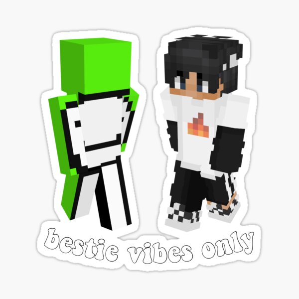 ✨sapnap✨  Smp, Dream team, Mc skins