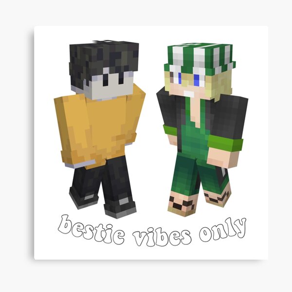 Minecraft Skins Canvas Prints Redbubble