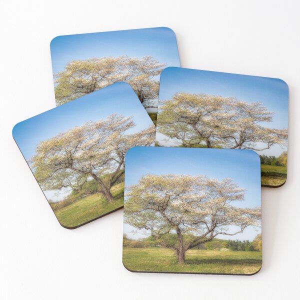 Item preview, Valley Forge tree 05.26a designed and sold by HowardRoberts.