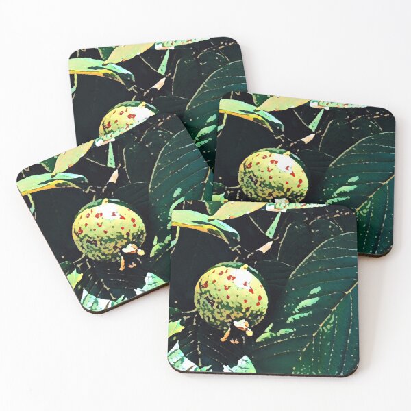 Item preview, Guava fruit designed and sold by Greengardens36.