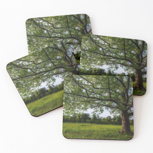 Item preview, Valley Forge tree 05.25a designed and sold by HowardRoberts.