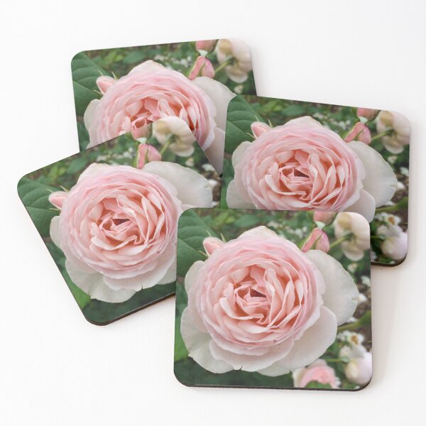 Item preview, Pink rose in the garden designed and sold by JuliVogel.