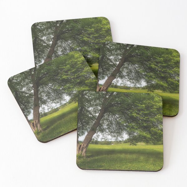Item preview, Valley Forge tree 05.25d designed and sold by HowardRoberts.