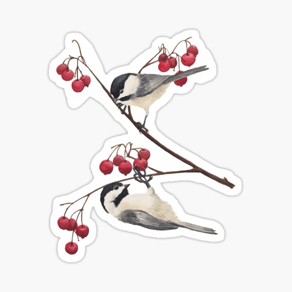 Item preview, Black Capped Chickadee "Provider" designed and sold by Alexis Rodefer.
