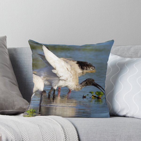 Item preview, Australian White Ibis designed and sold by Peter Ford.