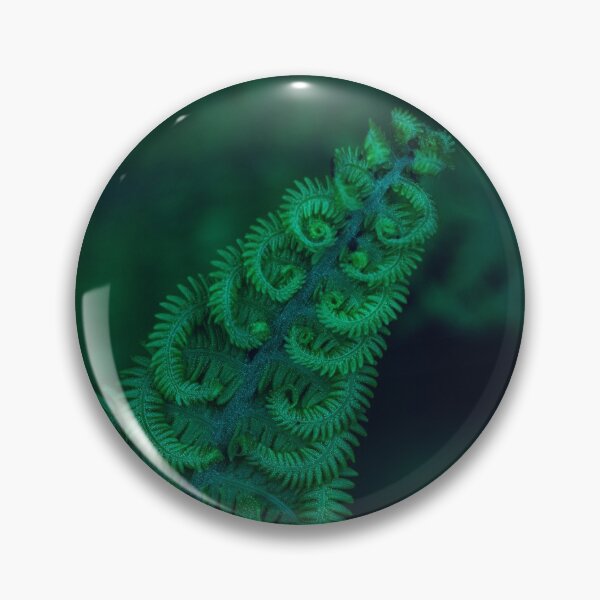 Item preview, Late night belly laughs with a Fern designed and sold by alan shapiro.