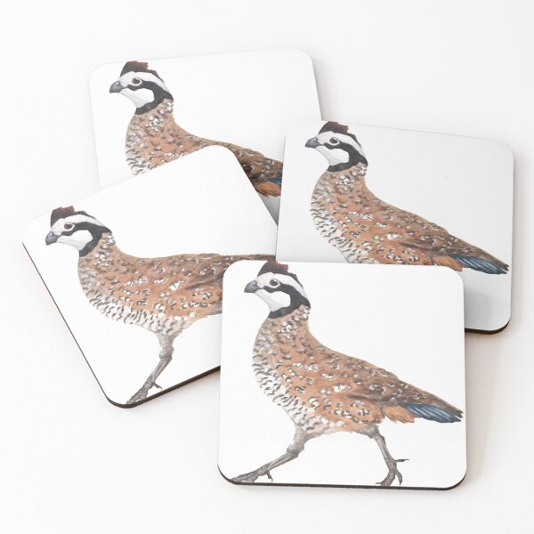 Item preview, Northern Bobwhite designed and sold by Alexis Rodefer.