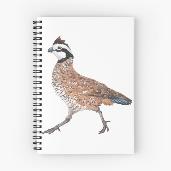Item preview, Northern Bobwhite designed and sold by Alexis Rodefer.