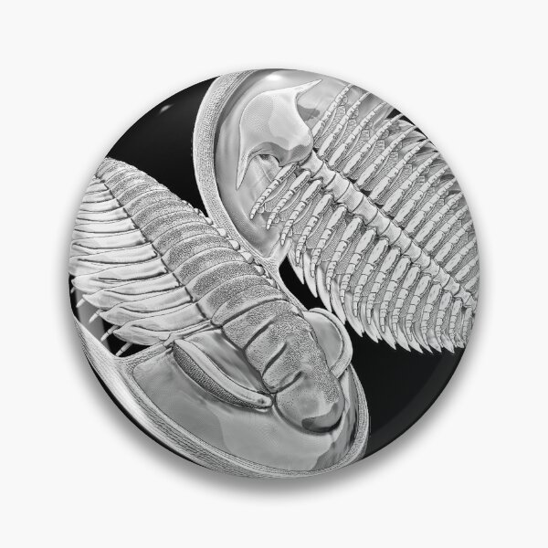 Item preview, Estaingia bilobata, Cambrian trilobite designed and sold by Katrina Kenny.
