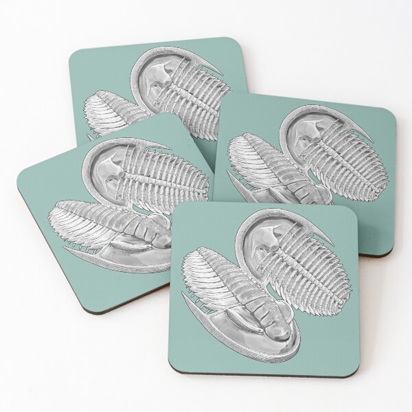 Item preview, Estaingia bilobata, Cambrian trilobite designed and sold by Katrina Kenny.